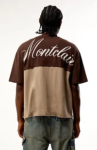 Pacsun Brown Montclair Cropped Color Block T-Shirt