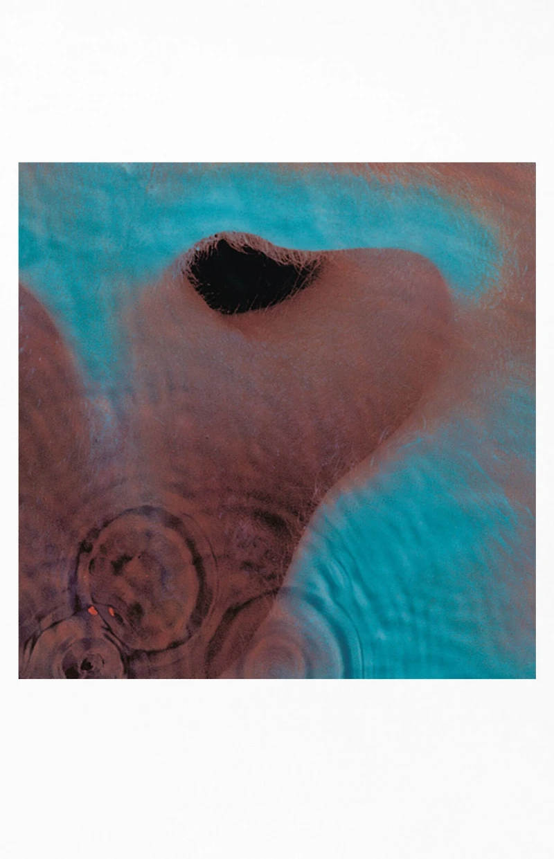 Pink Floyd Meddle Vinyl Record