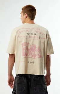 Pacsun Crown And Canvas Cropped Boxy T-Shirt