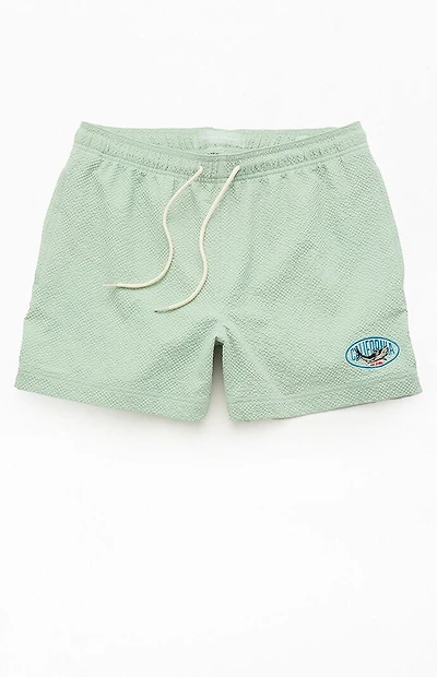 Pacsun Cali Seersucker 4.5" Swim Trunks