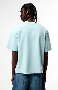 Pacsun Marseille Cropped Boxy T-Shirt