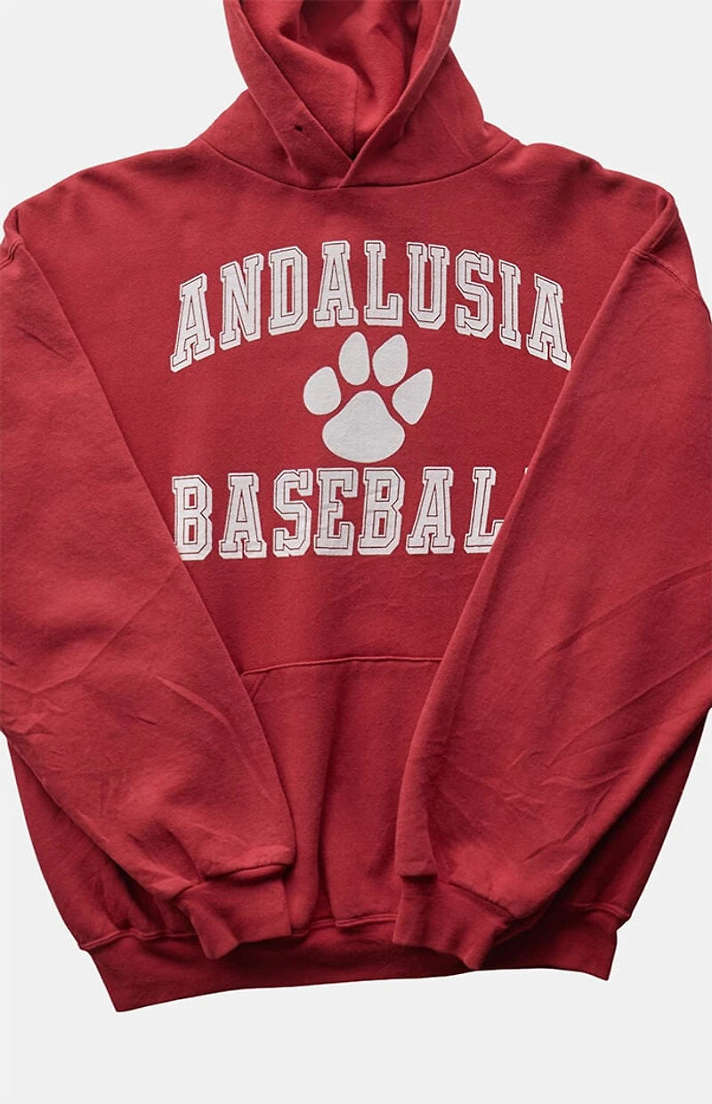 PS VINTAGE 2000s Andalusia Baseball Russell Hoodie