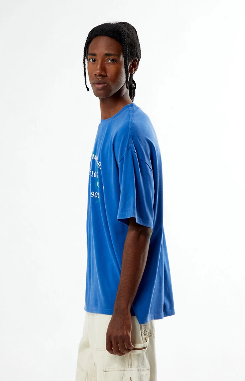 Pacsun Mother Earth T-Shirt