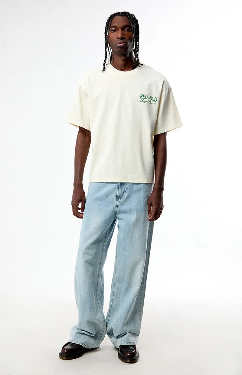 Pacsun Redwood Cropped Boxy T-Shirt