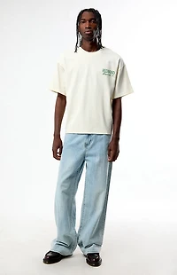 Pacsun Redwood Cropped Boxy T-Shirt