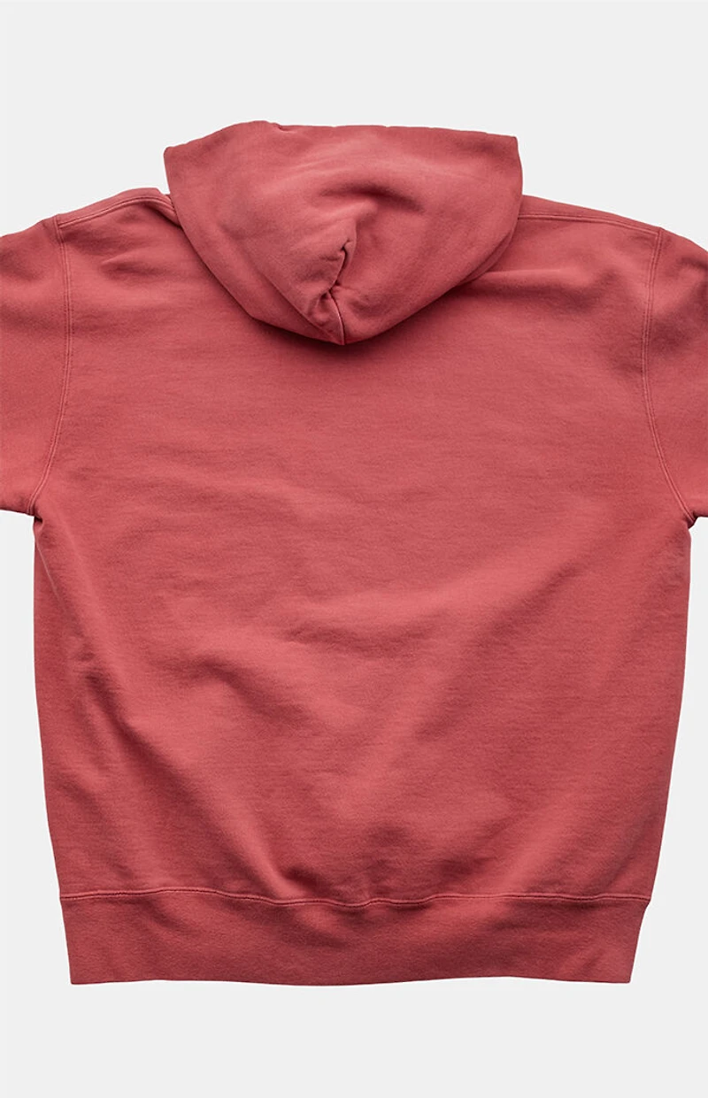 PS VINTAGE 2000s Champion Hoodie