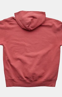 PS VINTAGE 2000s Champion Hoodie