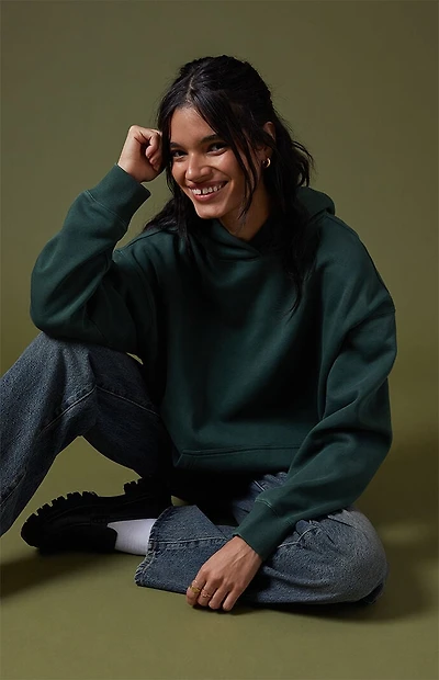 Pacsun Core Vintage Wash Pullover Hoodie