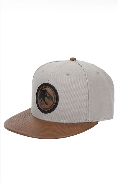 Jurassic Park Logo Snapback Hat