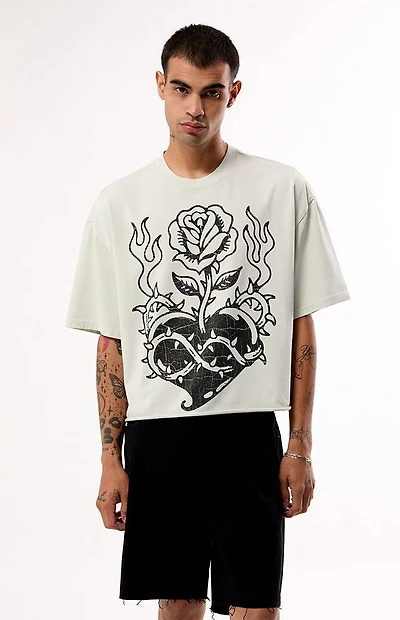 Pacsun Heartfelt Cropped T-Shirt