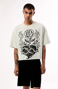 Pacsun Heartfelt Cropped T-Shirt