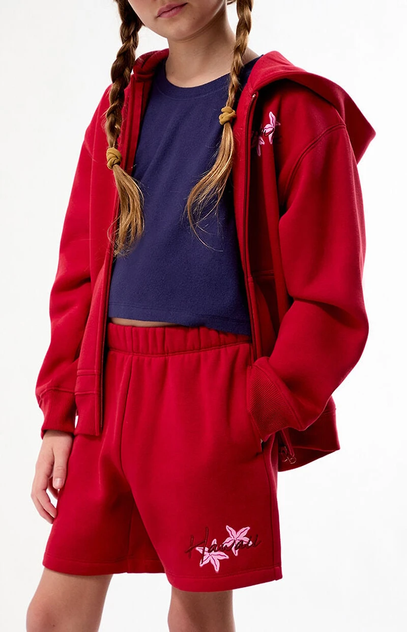 Pacsun Kids Hawaii Embroidered Baggy Sweat Shorts