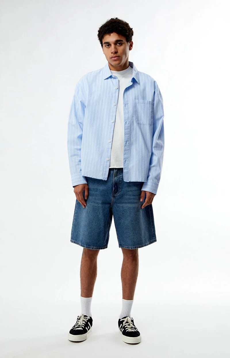 Pacsun Blue Striped Oxford Button Down Long Sleeve Shirt