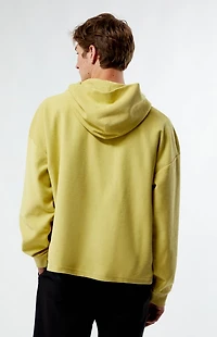 Pacsun Alley Hoodie
