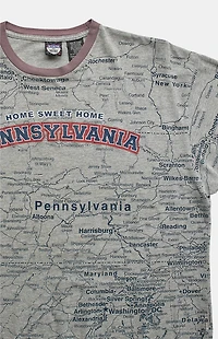 PS VINTAGE 2000s Pennsylvania AOP T-Shirt