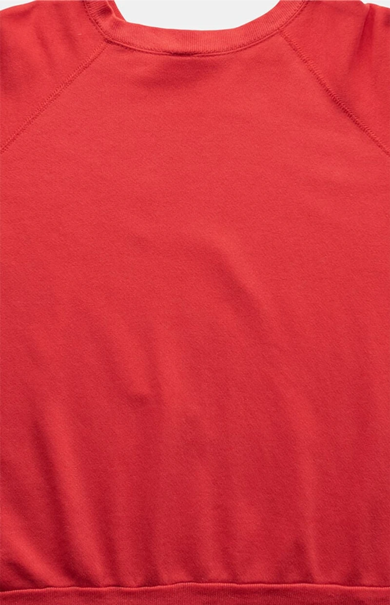 PS VINTAGE 90s Niagara Falls Looney Tunes Crew Neck Sweatshirt