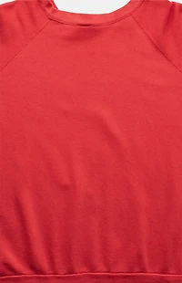 PS VINTAGE 90s Niagara Falls Looney Tunes Crew Neck Sweatshirt