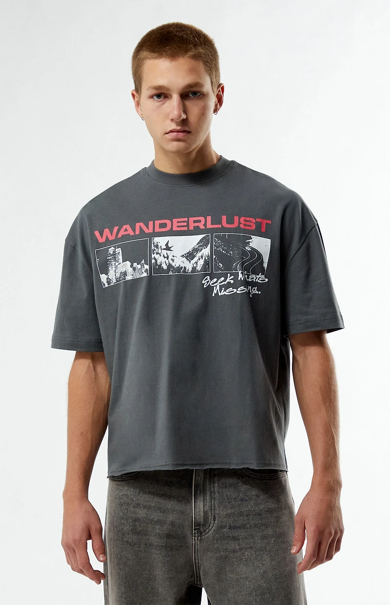 Pacsun Wanderlust Cropped Boxy T-Shirt