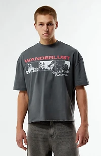 Pacsun Wanderlust Cropped Boxy T-Shirt