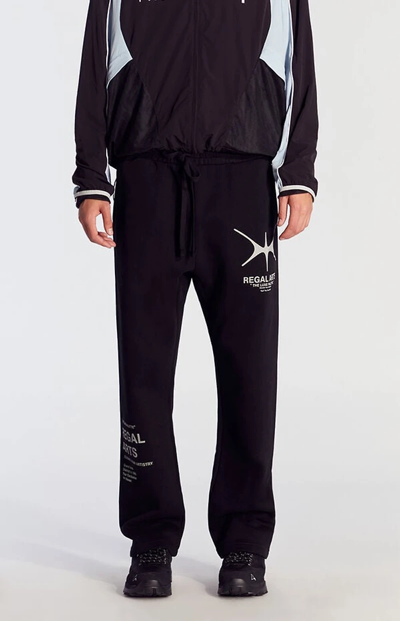 Pacsun Regal Arts Baggy Sweatpants