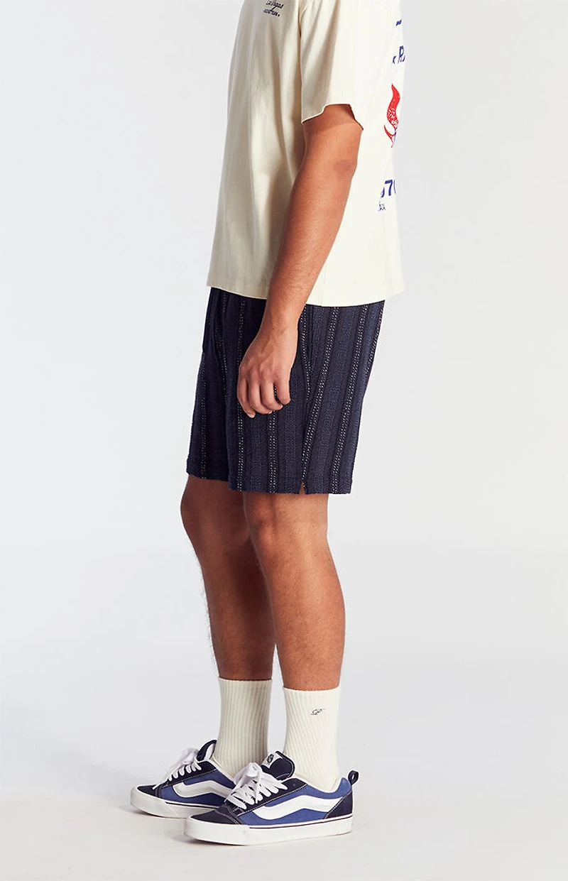 Pacsun Navy Striped Textured Volley Shorts