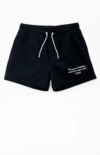 The Met x PacSun ESDA Seersucker 4.5" Swim Trunks