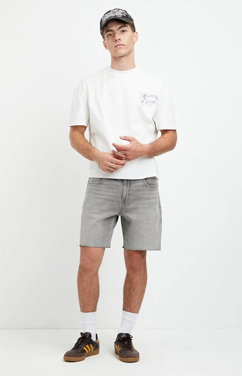 Pacsun Harrison Cutoff Baggy Jean Shorts Stretch Gray