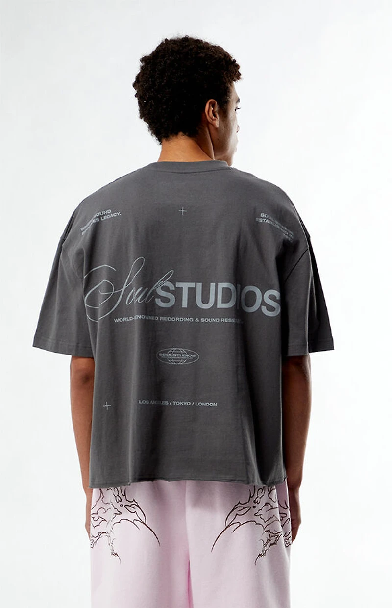 Pacsun Soul Studios Cropped Boxy T-Shirt