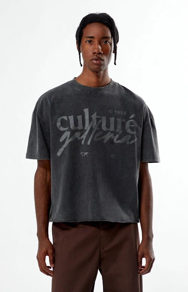 Pacsun Culture Galleria Cropped T-Shirt