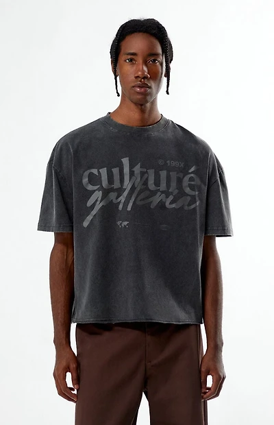 Pacsun Culture Galleria Cropped T-Shirt