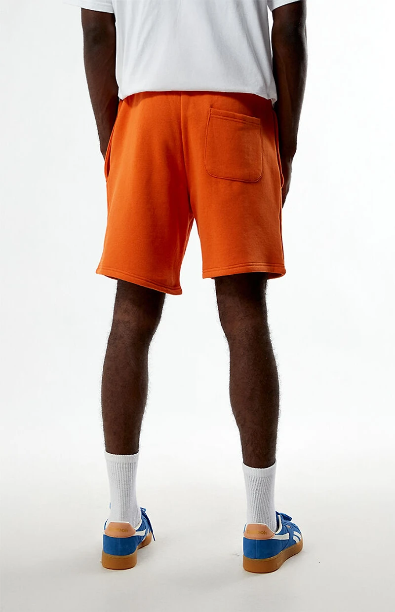 Pacsun Downtown Rodeo Fleece Sweat Shorts
