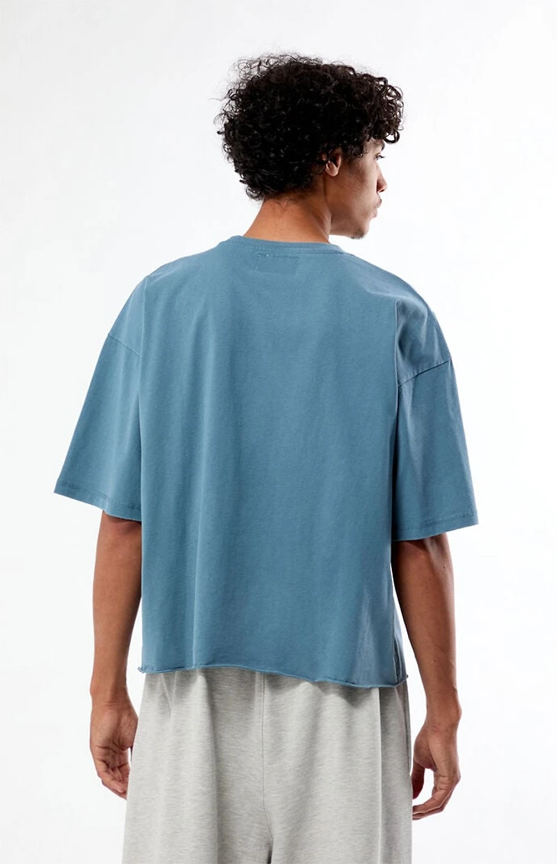 Pacsun Doomed Cropped Boxy T-Shirt