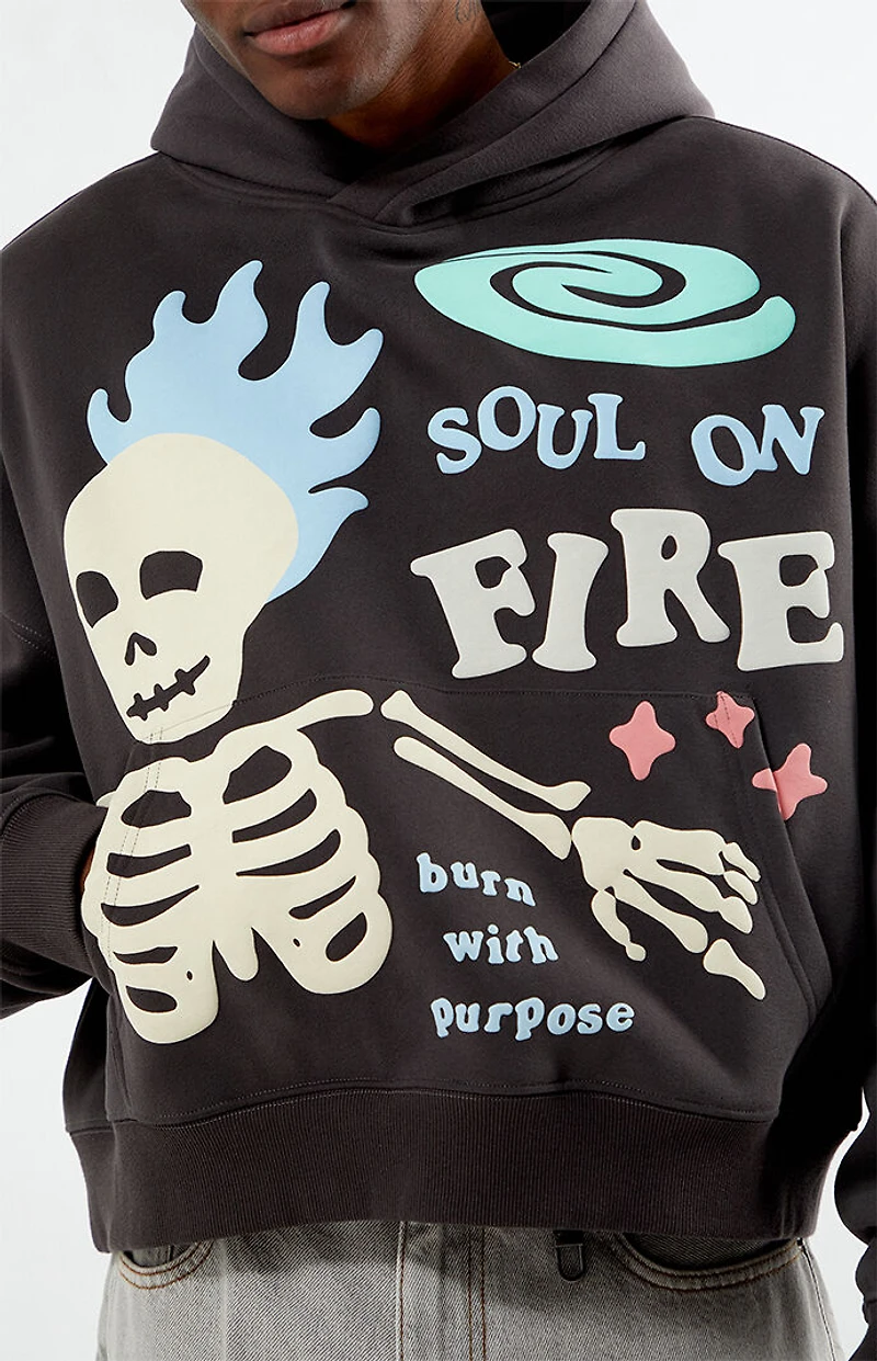 Pacsun Soul On Fire Cropped Hoodie
