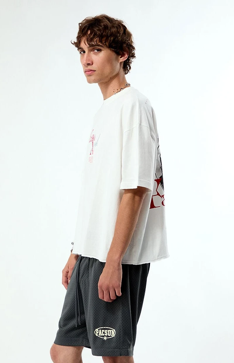 Pacsun Fallen Angel Cropped Boxy T-Shirt