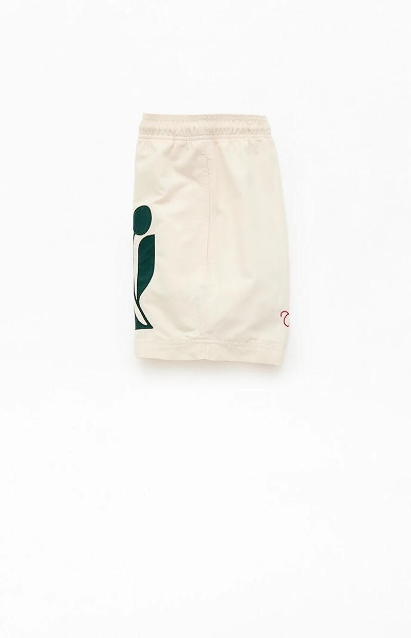 Pacsun Pebble Applique 4.5" Swim Trunks
