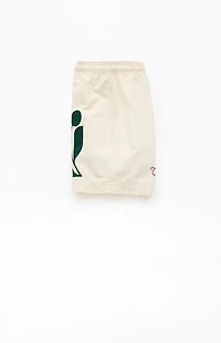 Pacsun Pebble Applique 4.5" Swim Trunks