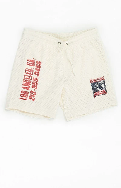 Pacsun Fang Lounge Mesh Basketball Shorts