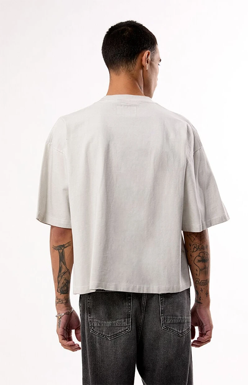 Pacsun Eternal Ripped Cropped T-Shirt