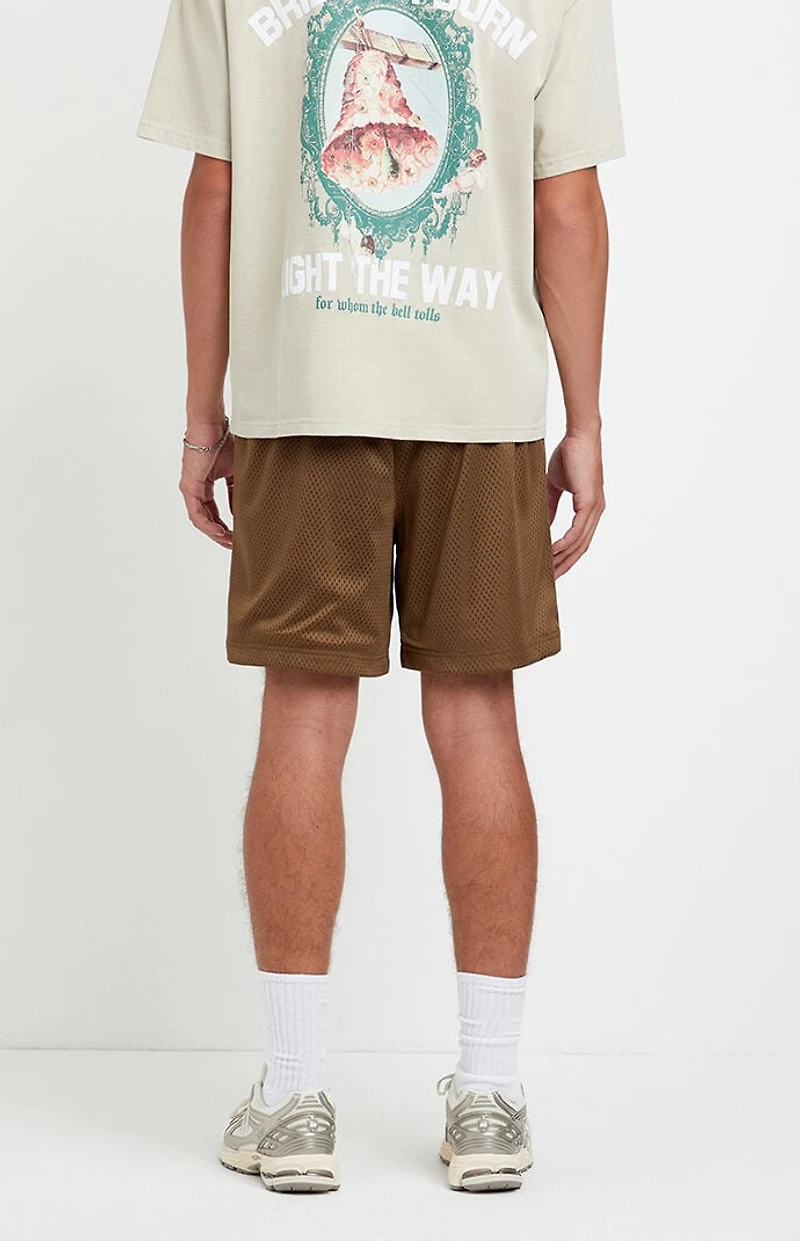 Pacsun Brown Aaron Mesh Volley Shorts