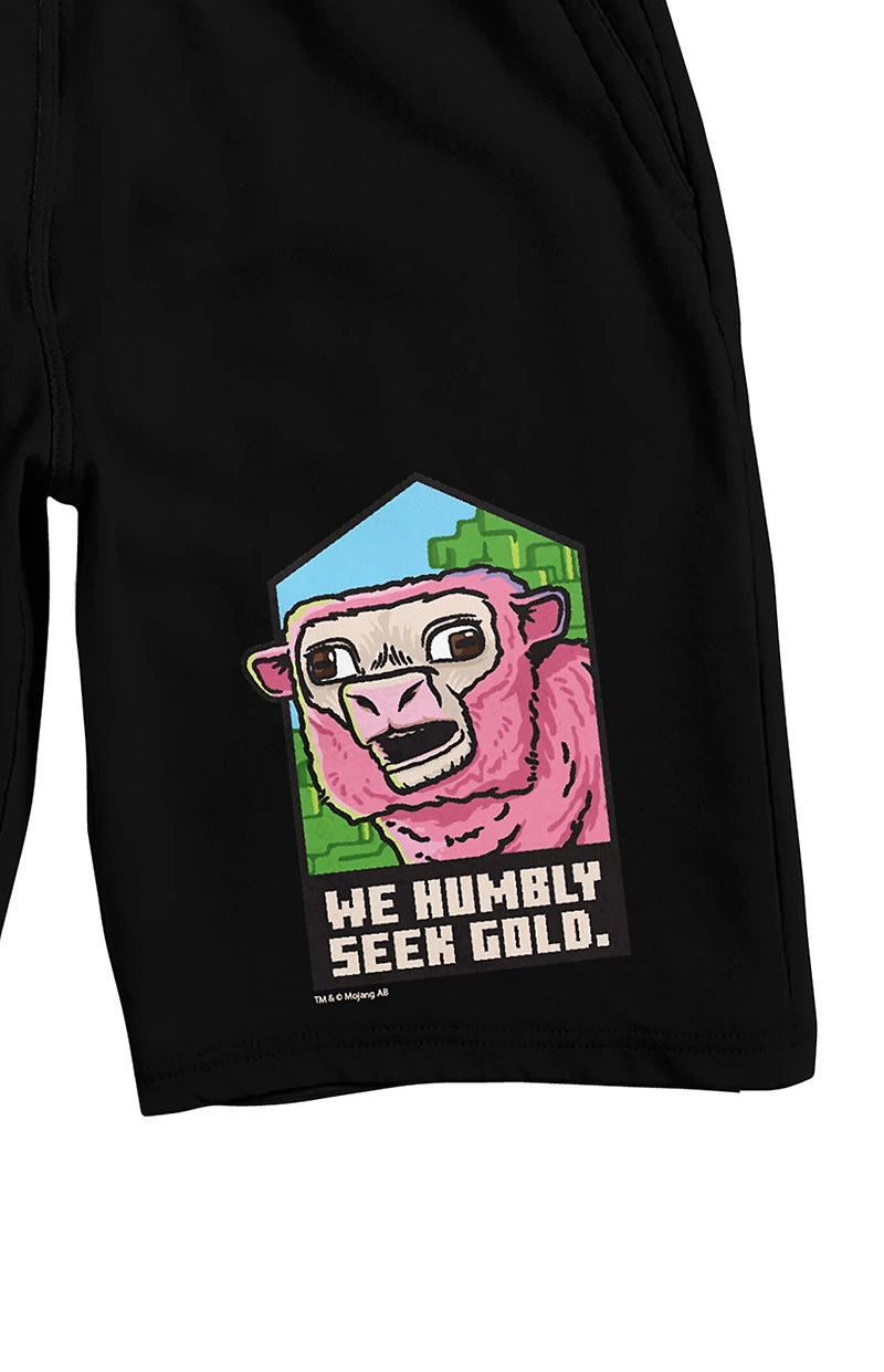 Minecraft We Humbly Seek