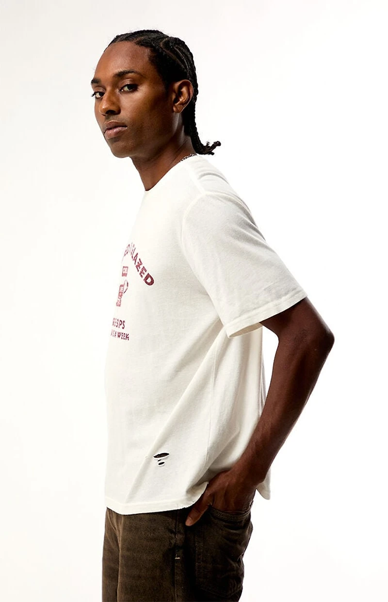 Pacsun Grazed Vintage T-Shirt
