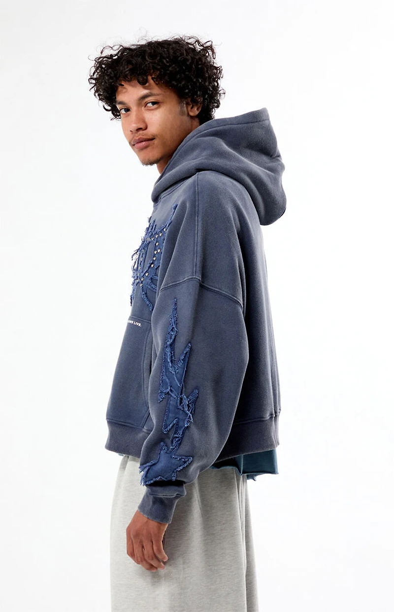 Pacsun Void Raw Applique Cropped Hoodie