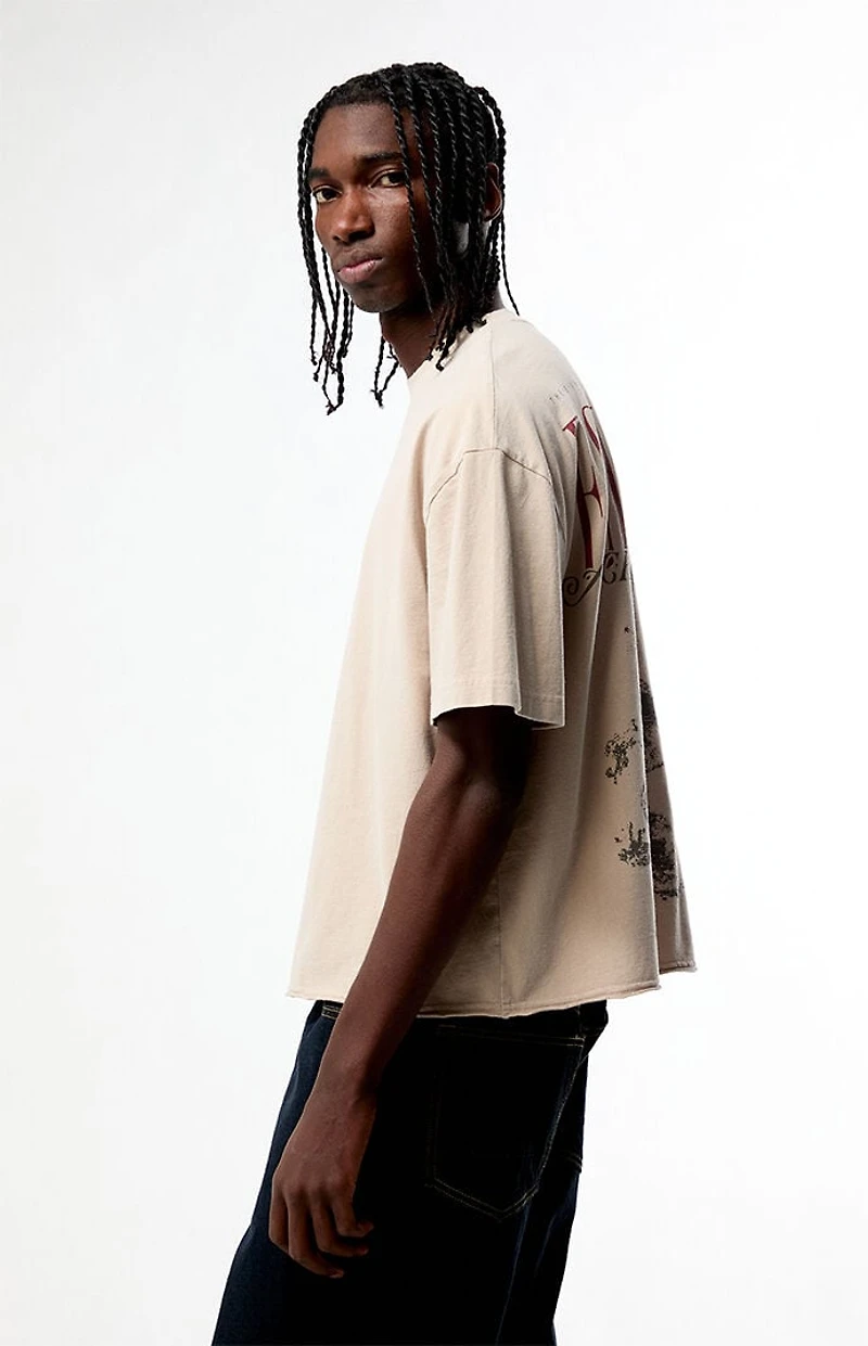 Pacsun Ecliptica Cropped Boxy T-Shirt