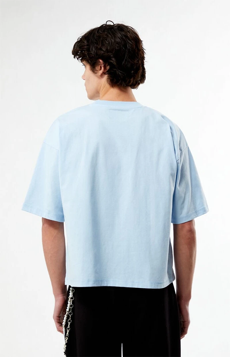 Pacsun Golden Cropped Boxy T-Shirt