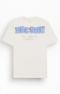 Pacsun Varsity Bear T-Shirt