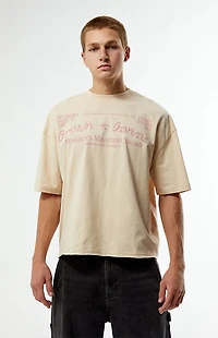 Pacsun Crown And Canvas Cropped Boxy T-Shirt