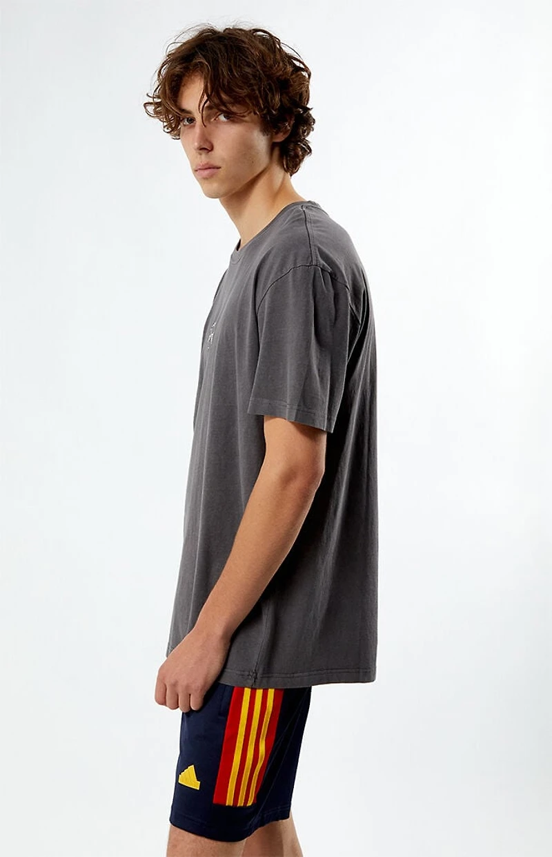 Pacsun Los Angeles Embroidered Vintage Wash T-Shirt