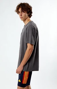 Pacsun Los Angeles Embroidered Vintage Wash T-Shirt