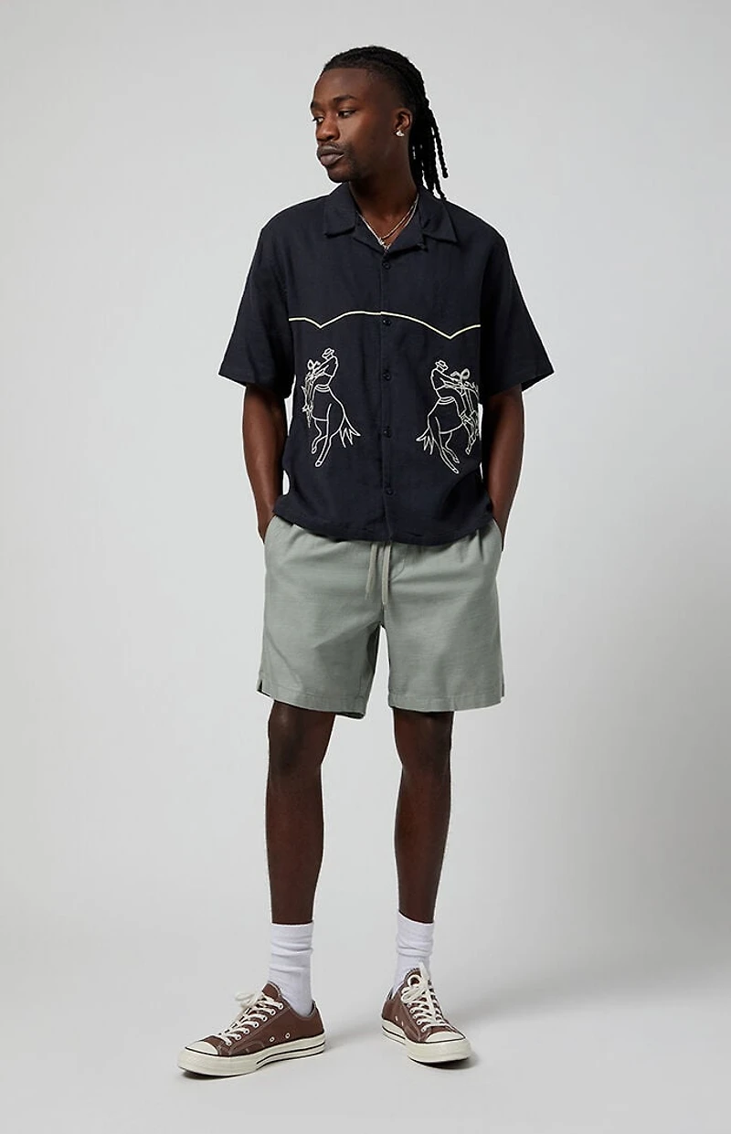 Pacsun Shadow Cole Cotton Volley Shorts