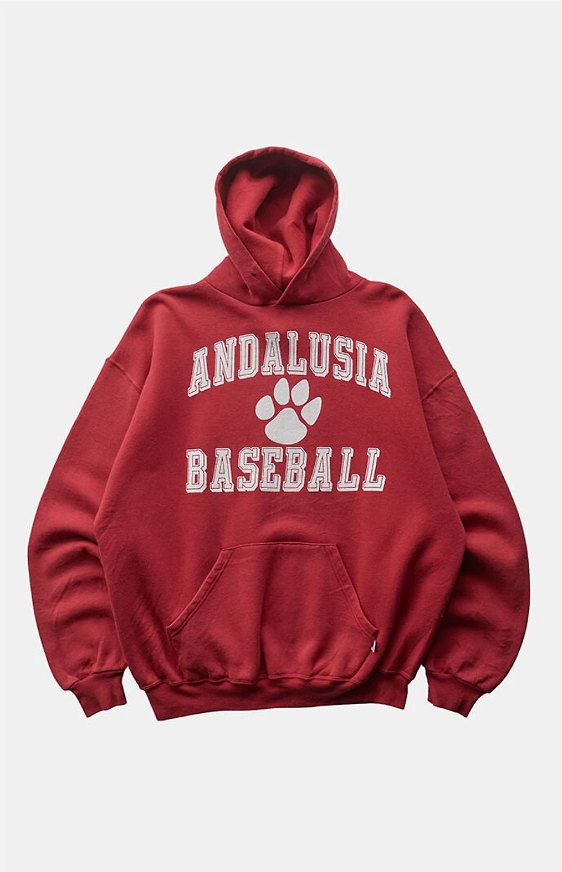 PS VINTAGE 2000s Andalusia Baseball Russell Hoodie